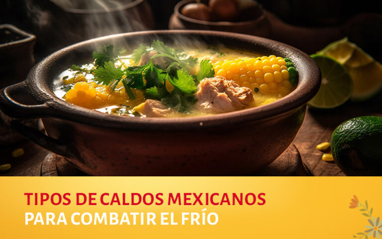 Diferentes tipos de caldos mexicanos para cada día de la semana, prueba ahora