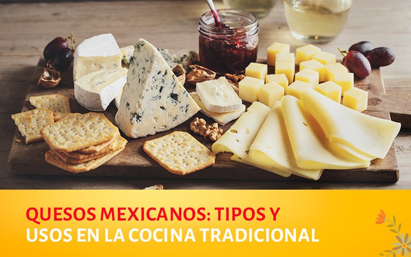 Descubre la variedad de quesos mexicanos y sus usos en la cocina tradicional