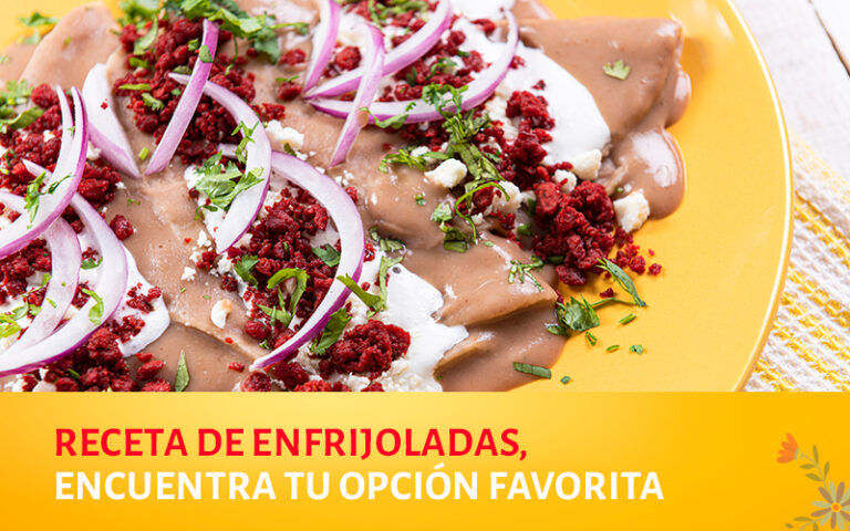 Enfrijoladas tradicionales, encuentra tu receta favorita
